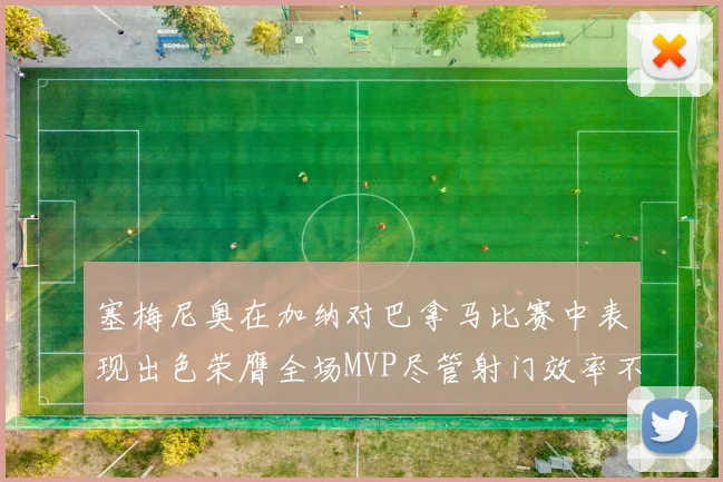 塞梅尼奥在加纳对巴拿马比赛中表现出色荣膺全场MVP尽管射门效率不佳