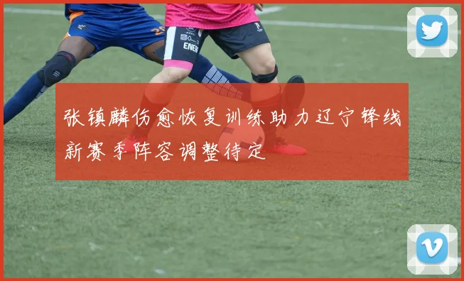 张镇麟伤愈恢复训练助力辽宁锋线新赛季阵容调整待定