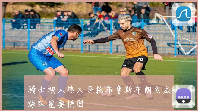 骑士湖人热火争抢布鲁斯布朗或成球队重要拼图